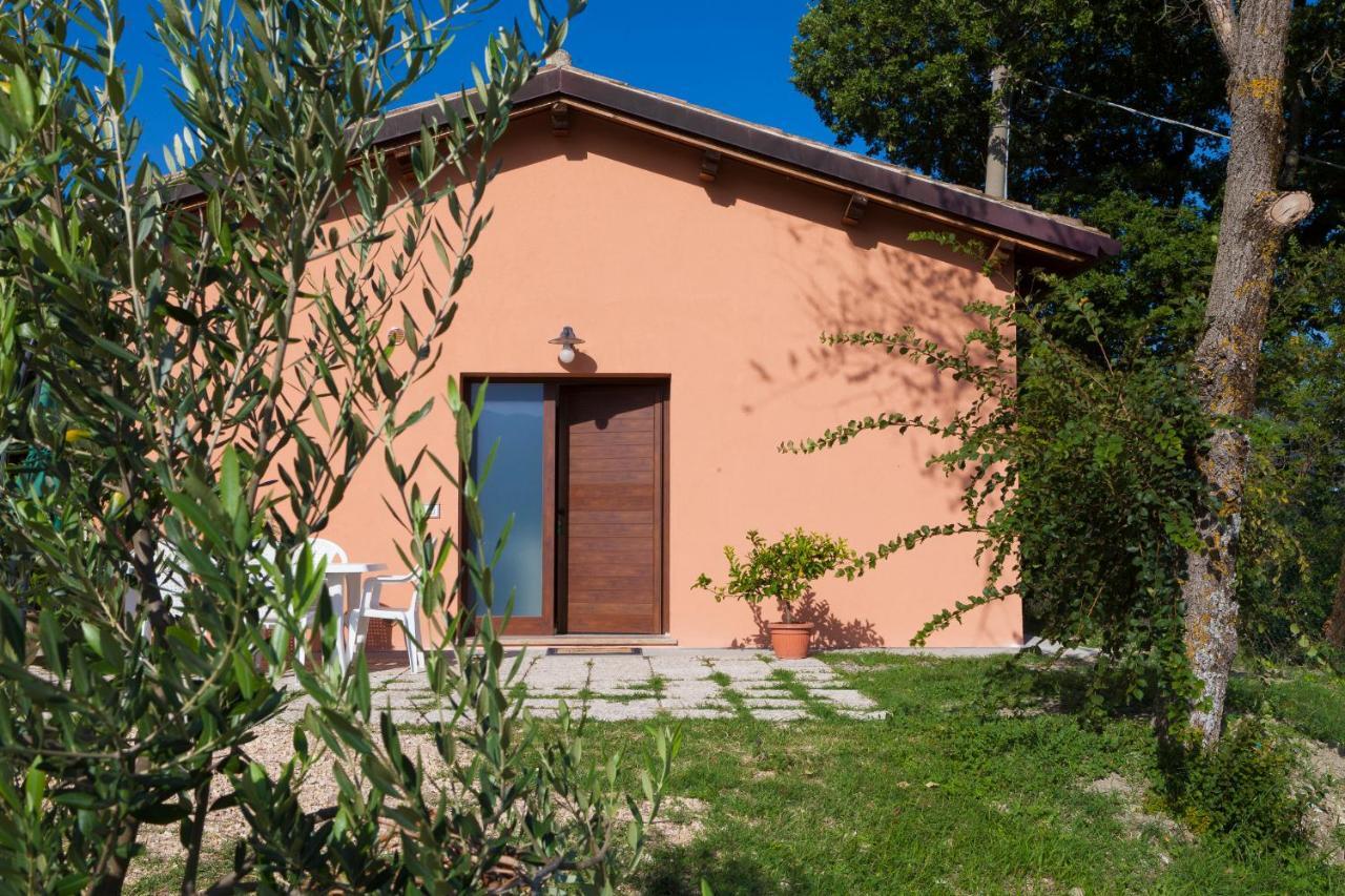 Relais Parco Del Subasio Bauernhof